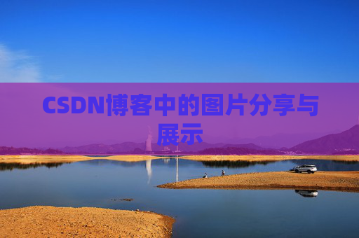 CSDN博客中的图片分享与展示